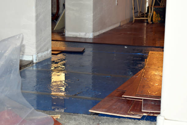 Professional Basement Flood Cleanup technician working in New Hampton, NH
